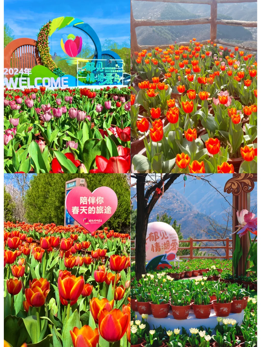 邯郸|和亲朋好友春日踏青游玩地首选❗