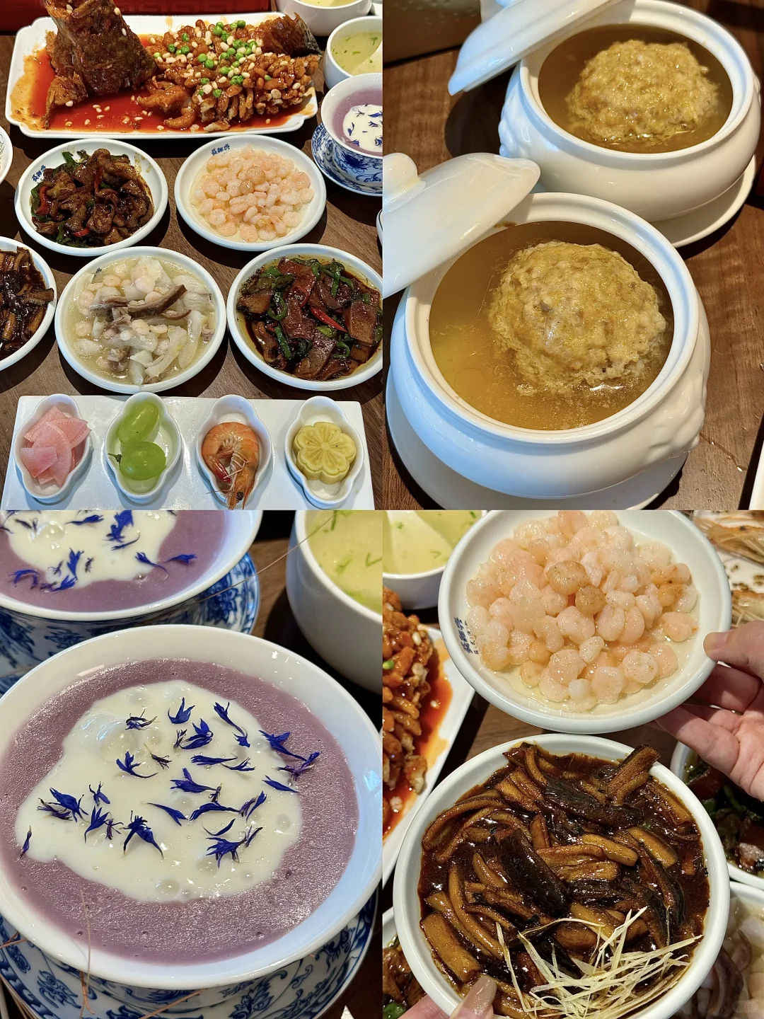 没去园林❗️苏州这些地方免费还好拍（附位置）