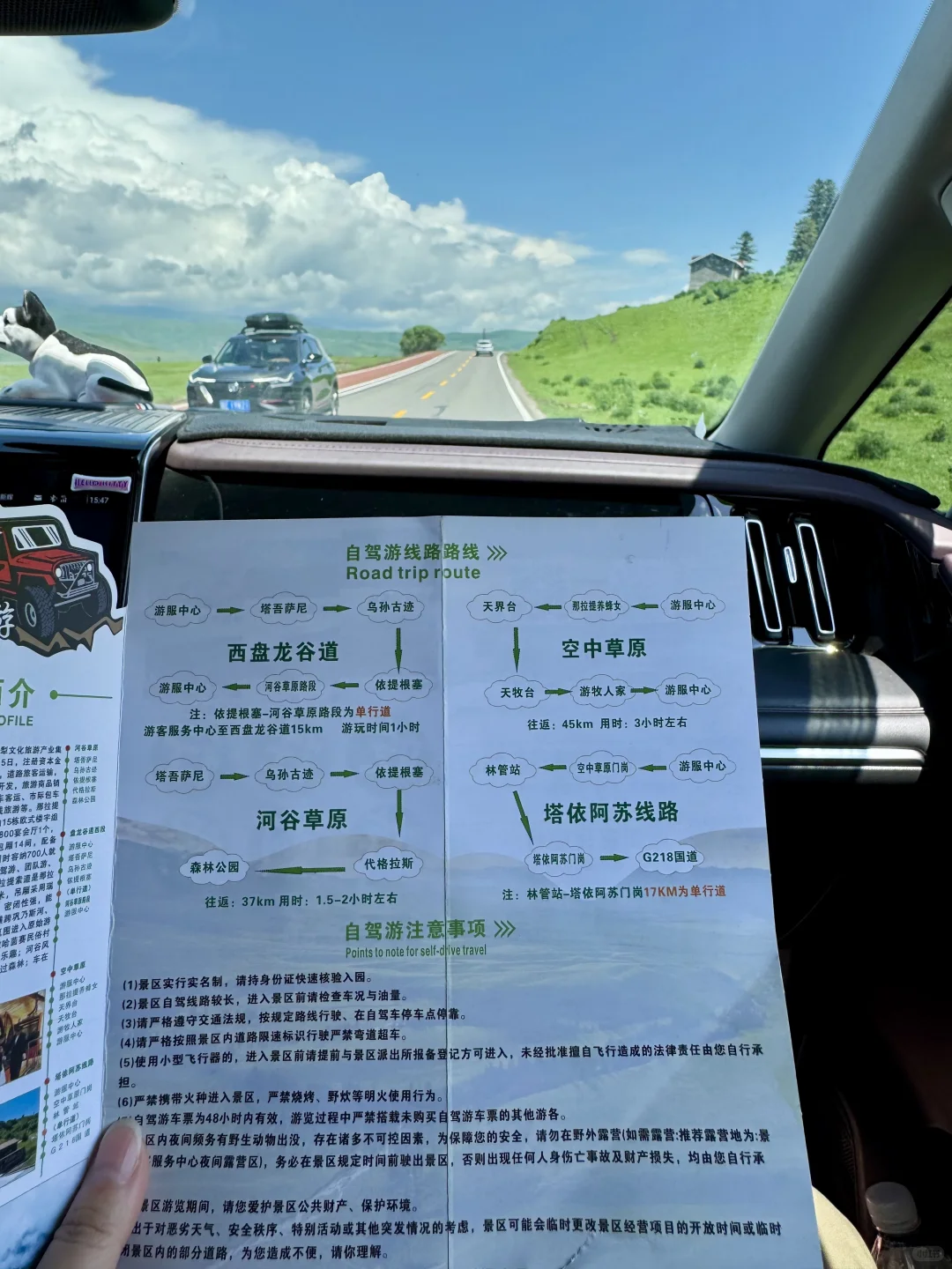 那拉提太美了🍃但是真的要做攻略…