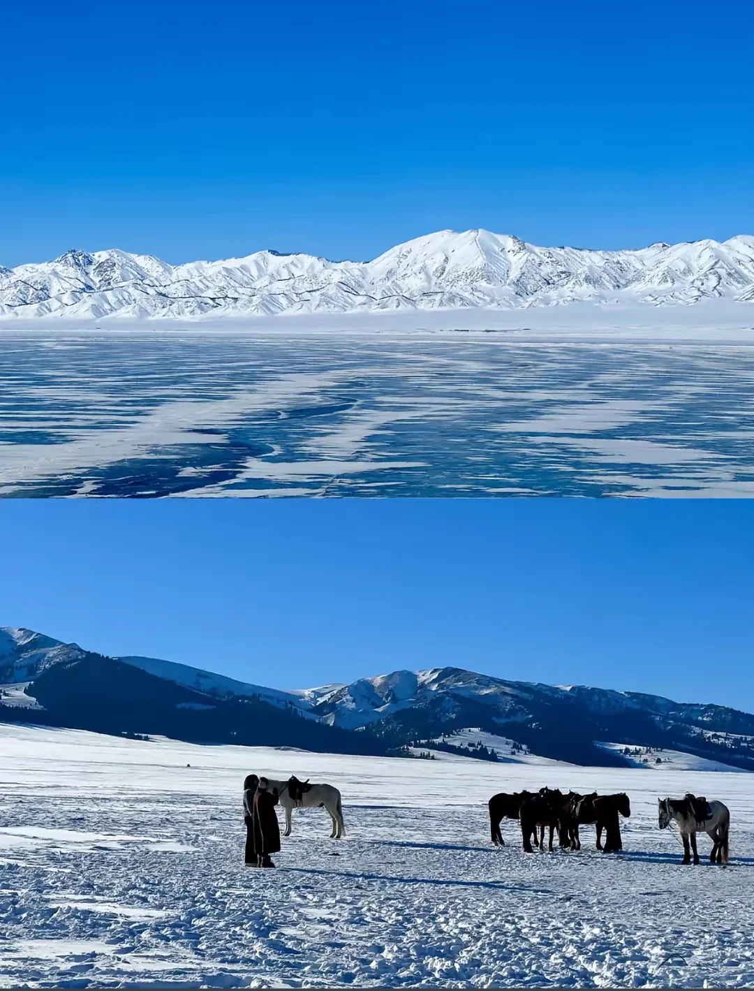 一人游新疆伊犁绝对的自由行