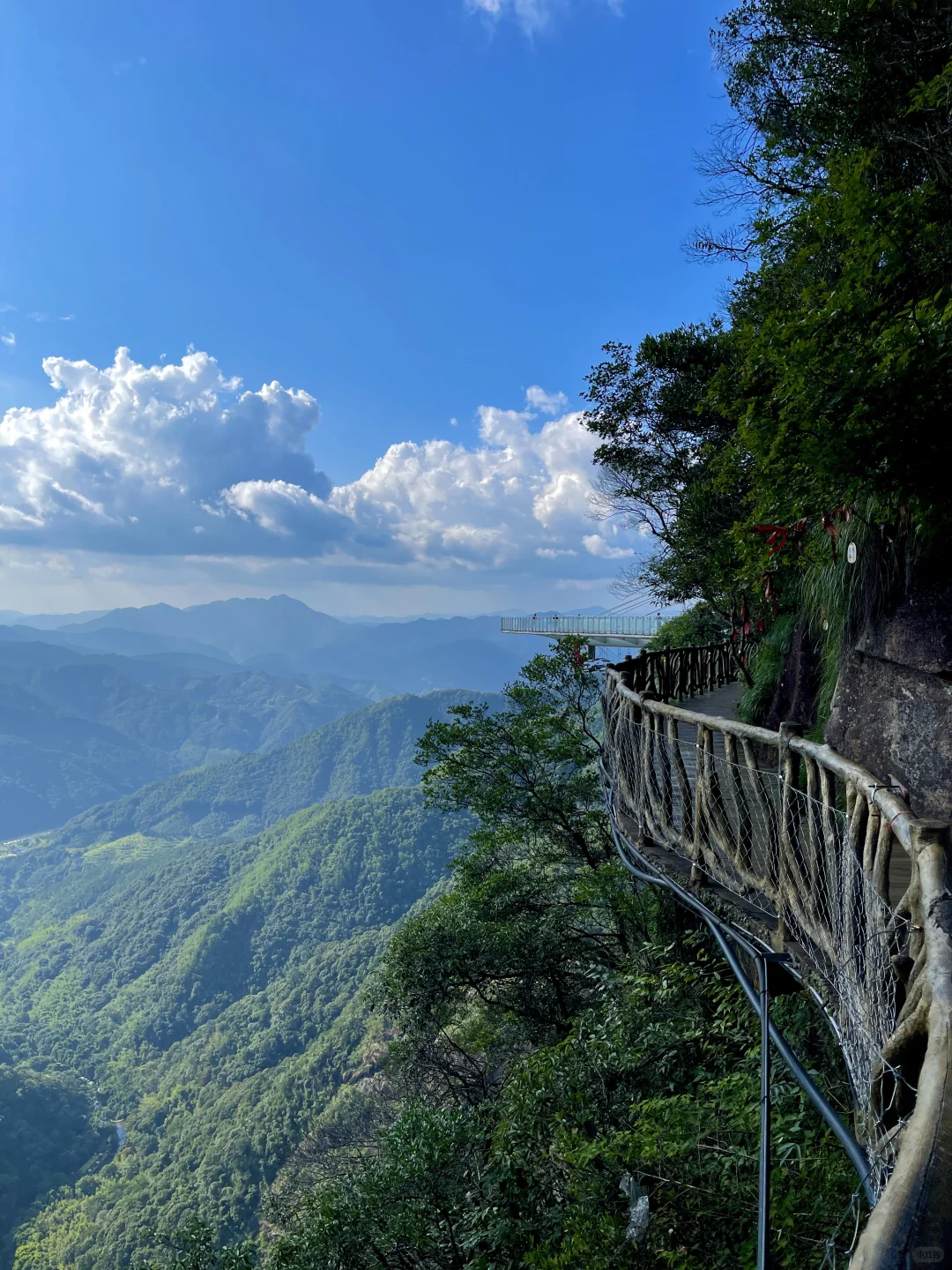 在福建！！在福建！！发现了现实版绿野仙踪🍃