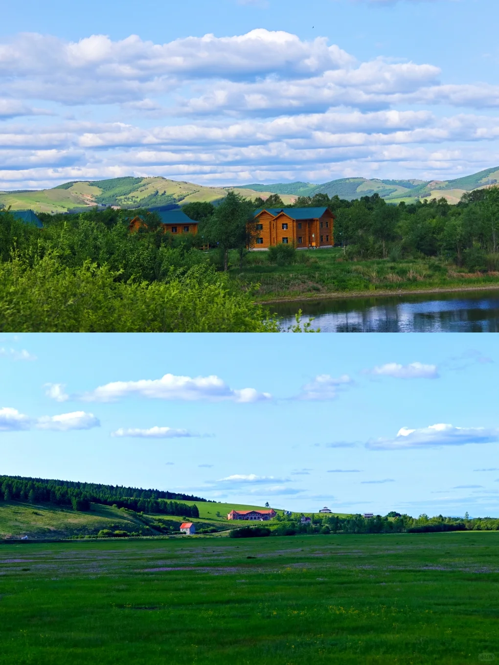 宫崎骏的夏天，谁不向往？不想回去了🤩