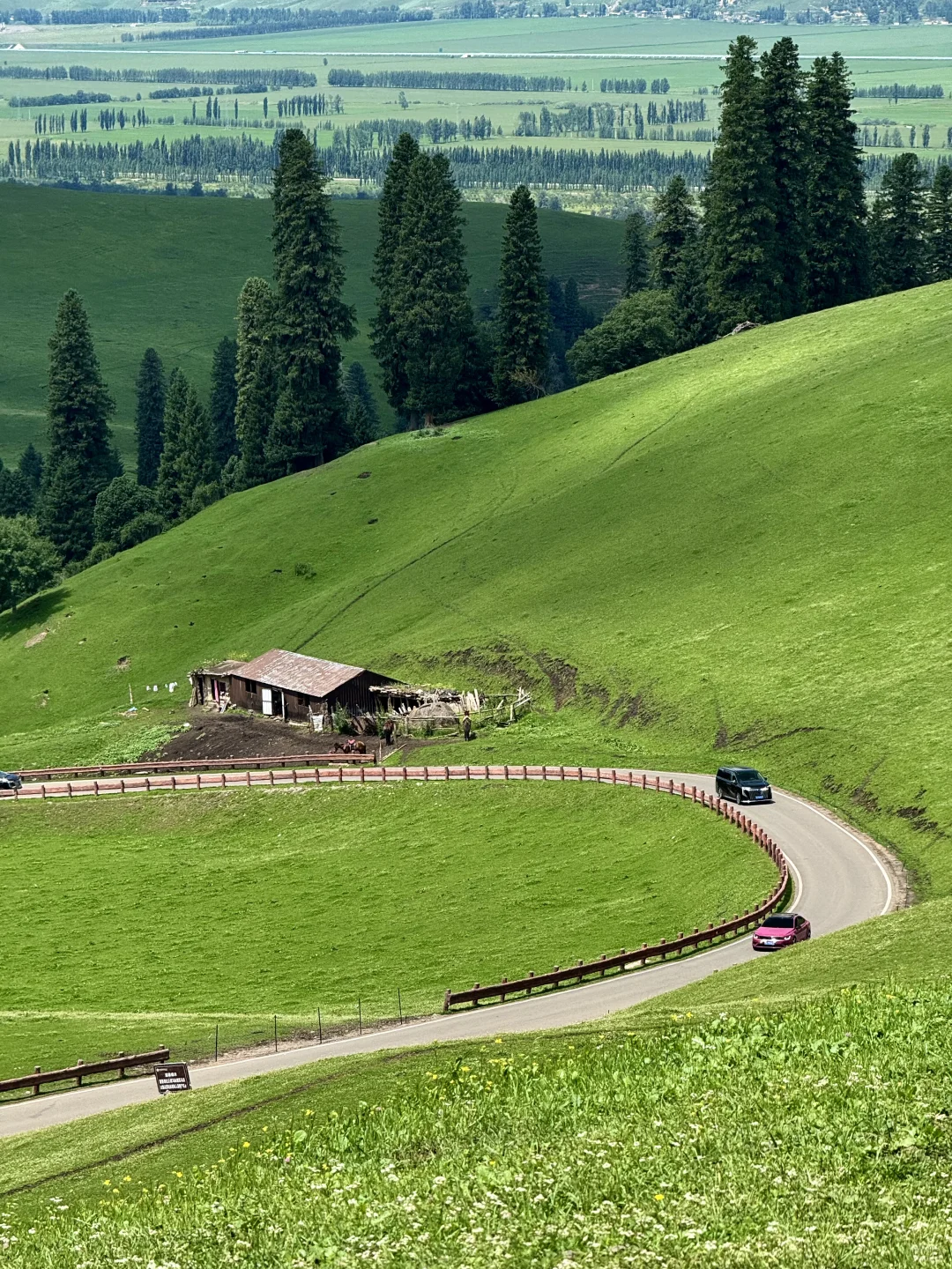 那拉提太美了🍃但是真的要做攻略…