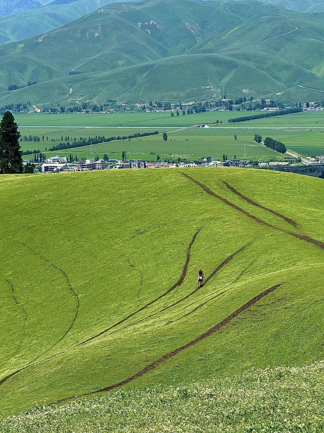 那拉提太美了🍃但是真的要做攻略…