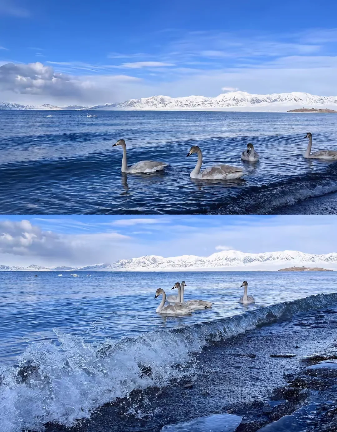 一人游新疆伊犁绝对的自由行