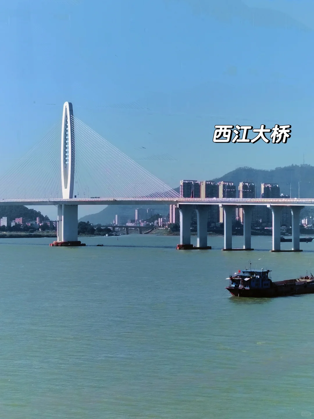 📍肇庆𝘾𝙞𝙩𝙮𝙬𝙖𝙡𝙠