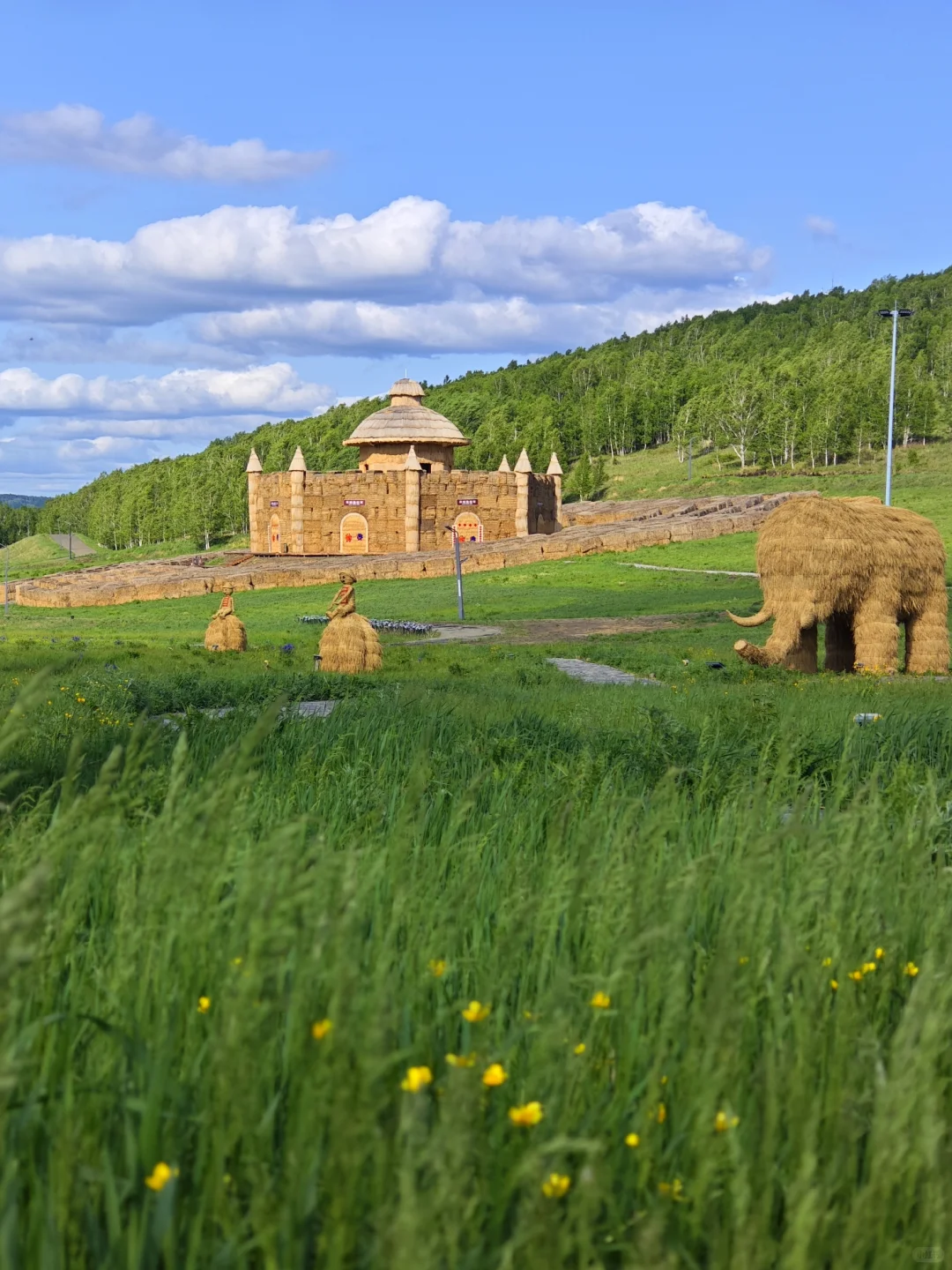 宫崎骏的夏天，谁不向往？不想回去了🤩