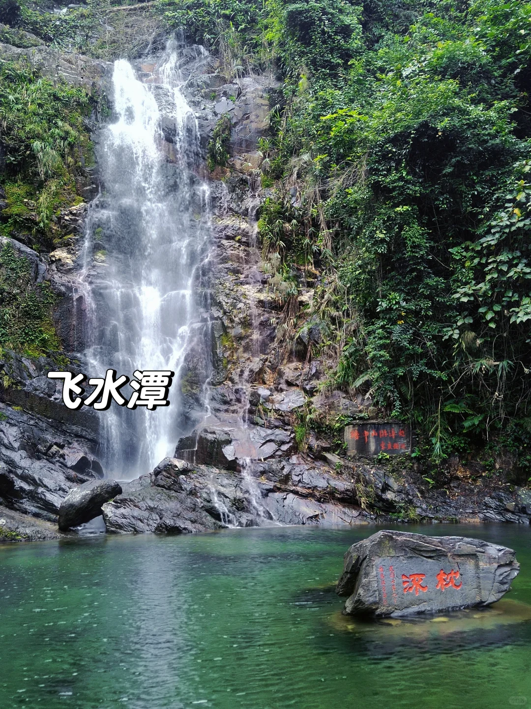 📍肇庆𝘾𝙞𝙩𝙮𝙬𝙖𝙡𝙠