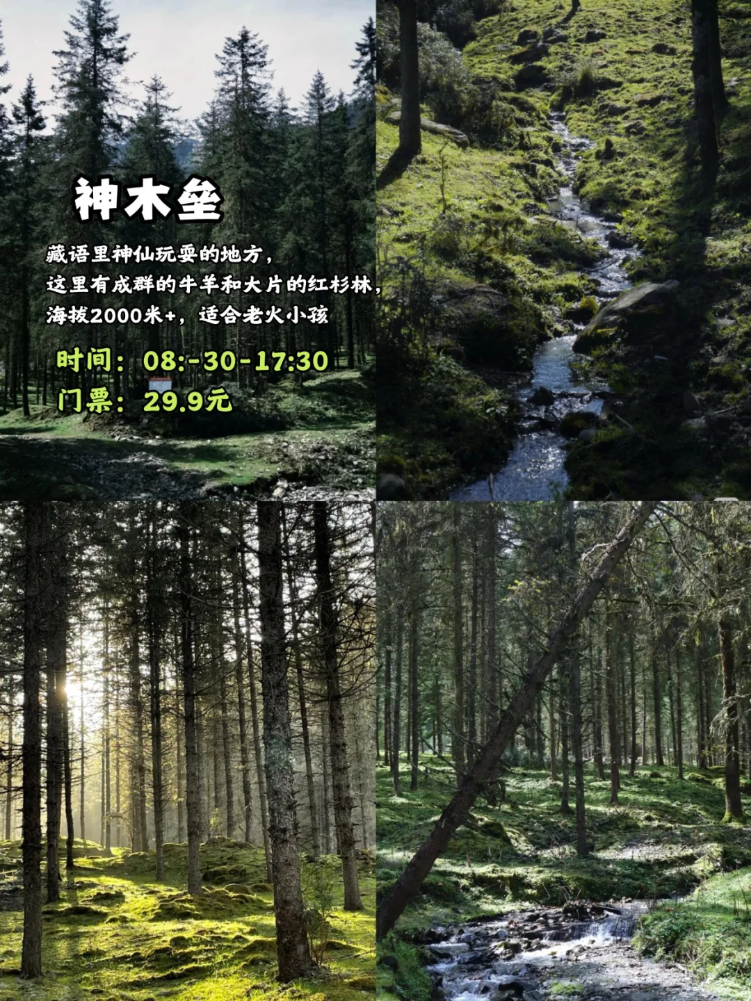 🌟雅安宝藏游|这10个景点错过会后悔！