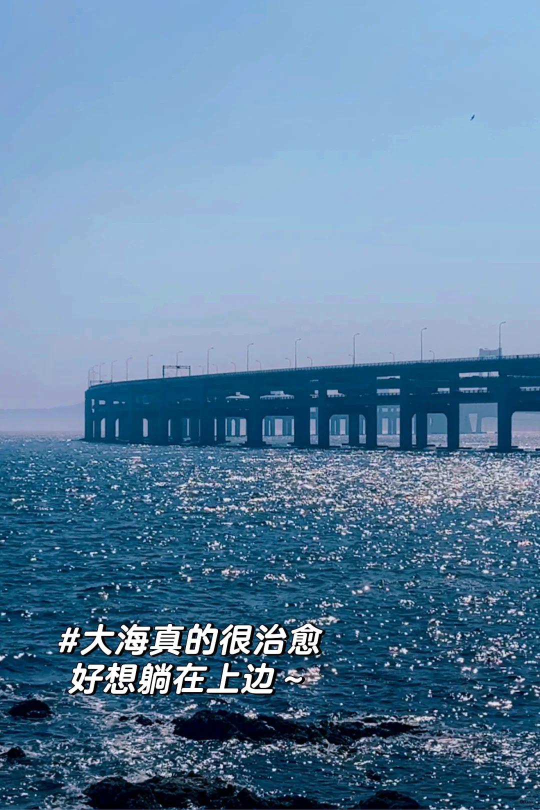拿去抄 | Infj做的大连旅行攻略