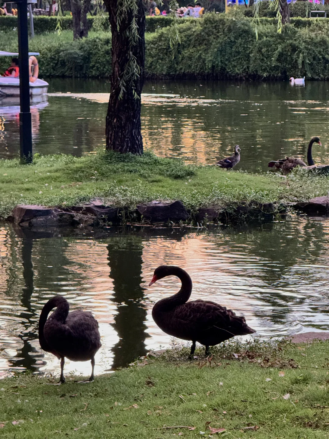 没去园林❗️苏州这些地方免费还好拍（附位置）