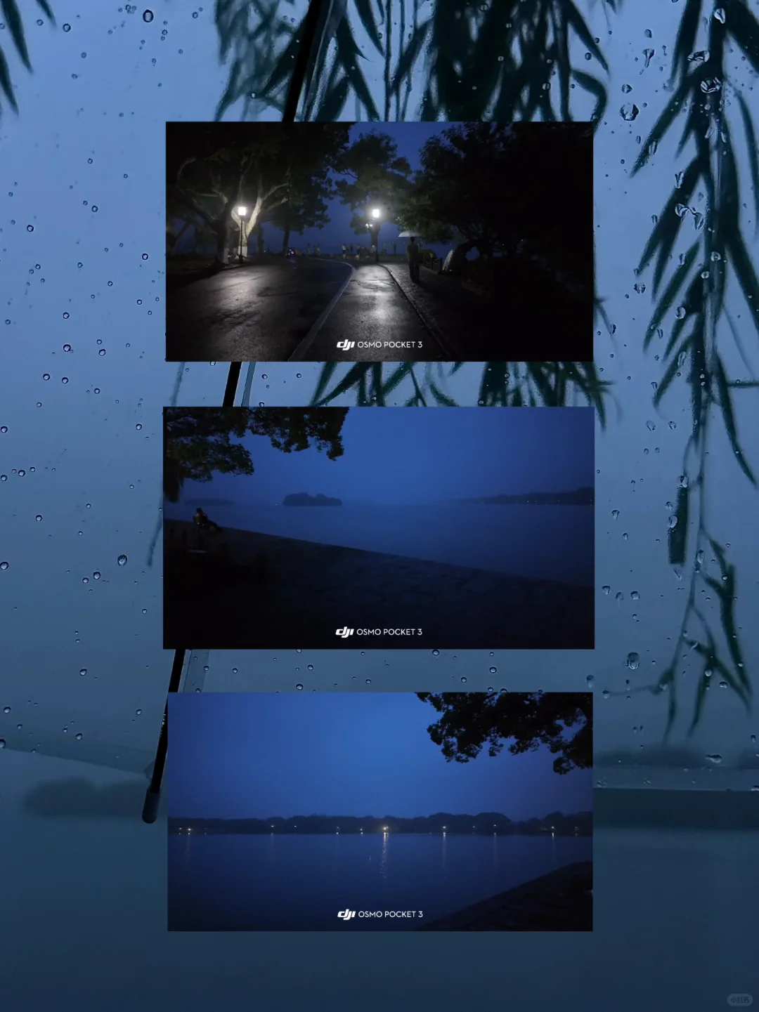 ：在杭州 淡人48h旅游攻略（附路线时间详细版