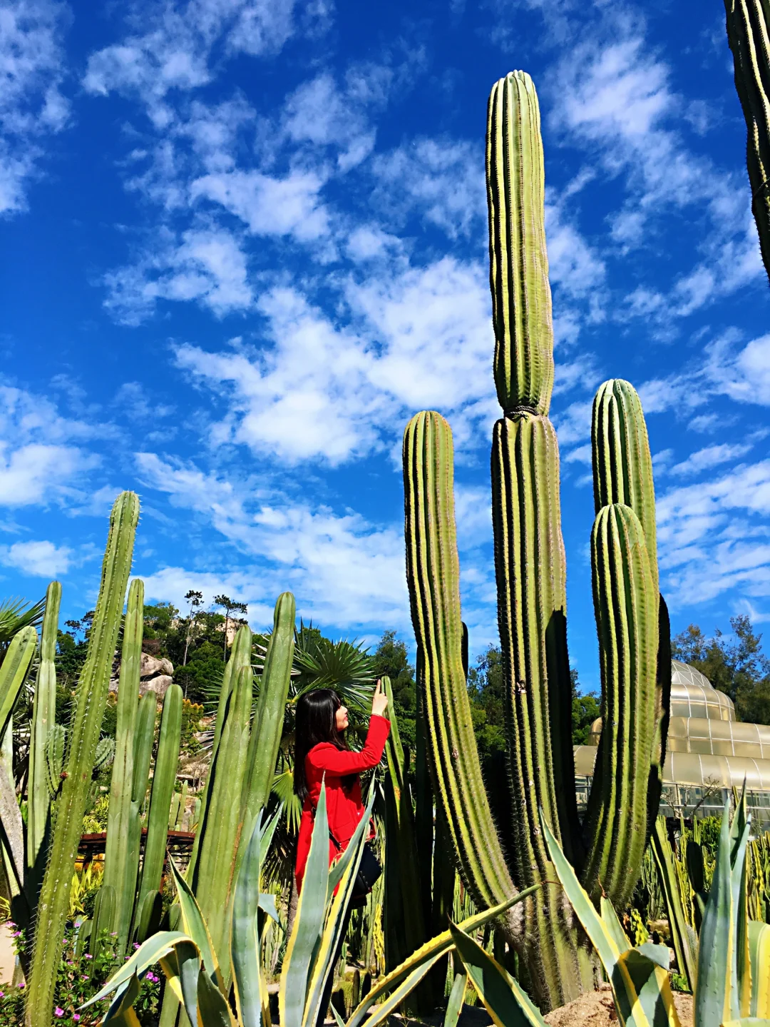 境内城市旅游推荐（一）