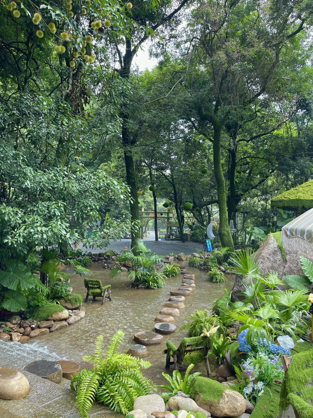 在福建！！在福建！！发现了现实版绿野仙踪🍃