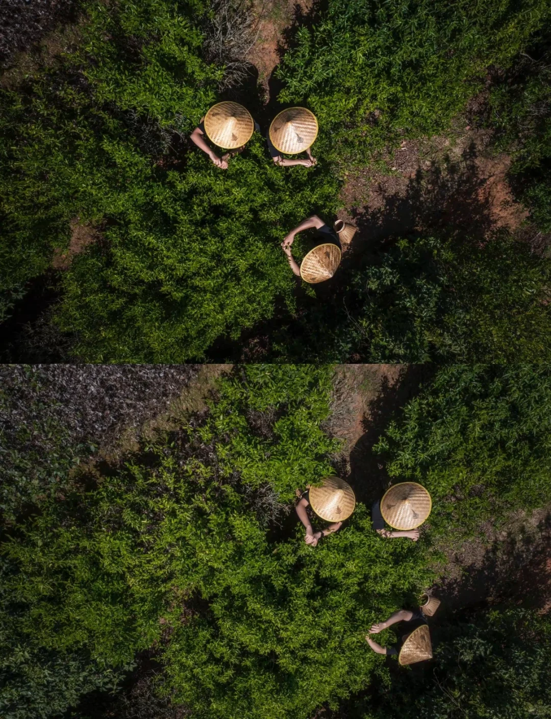 逃离网红城市｜10个被低估的「反向旅行」地