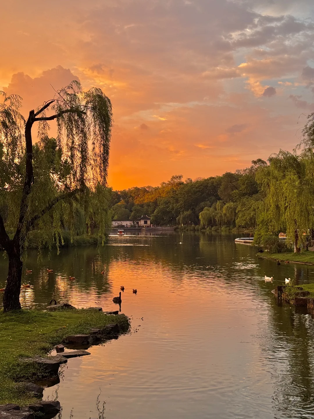 没去园林❗️苏州这些地方免费还好拍（附位置）