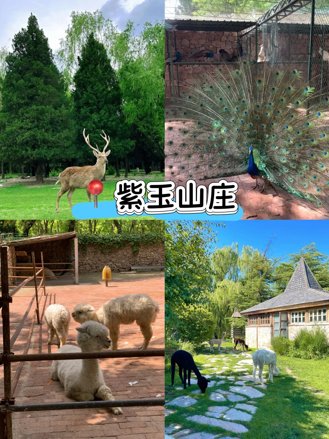 北京周末5个小众秘境｜治愈了我的精神内耗