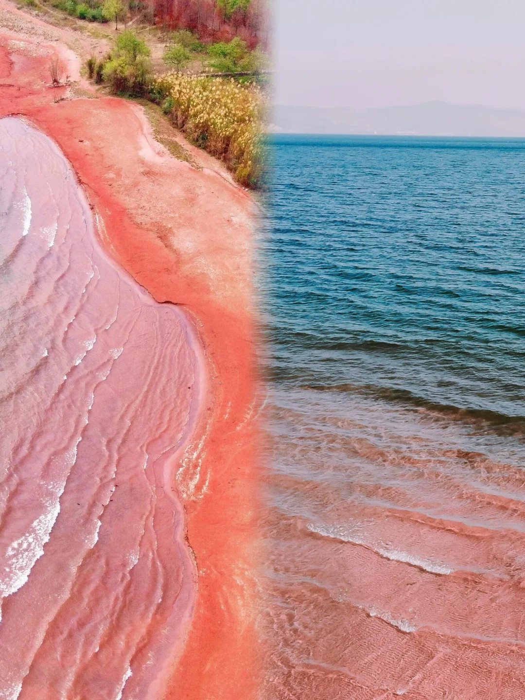 真的没有出国，只是到了国内唯一的粉红沙滩