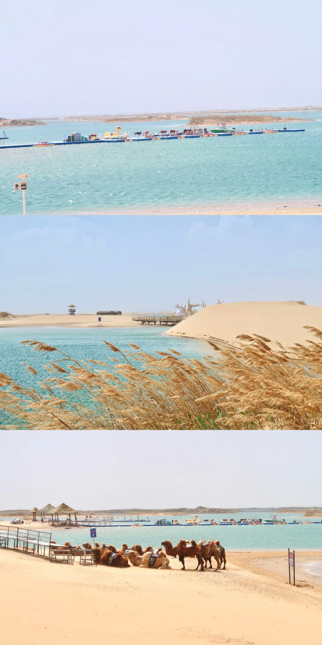 成都🚄出发乌海 | 一半沙漠一半海