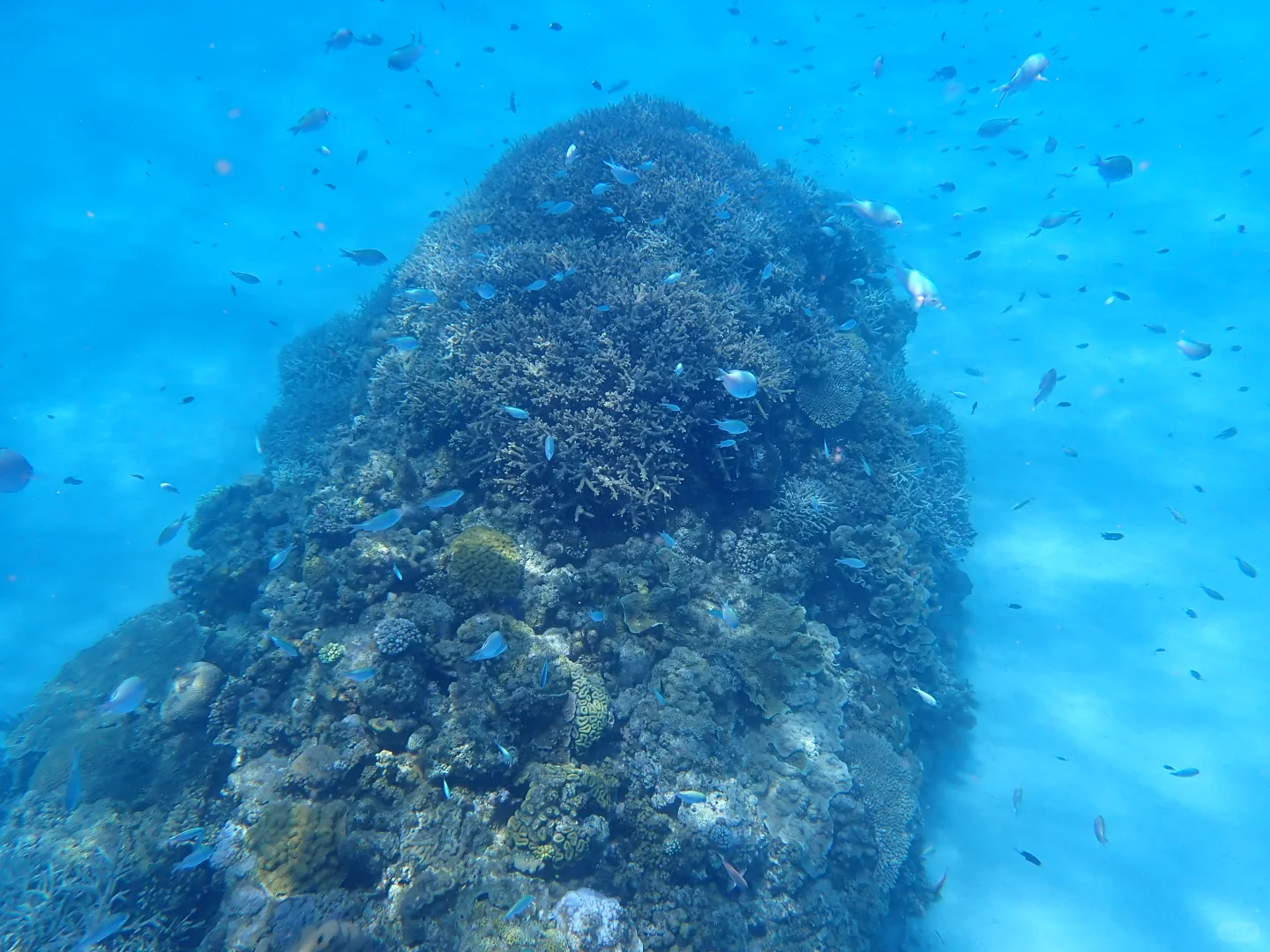 🧩碎碎念无保留分享冲绳旅游攻略😆