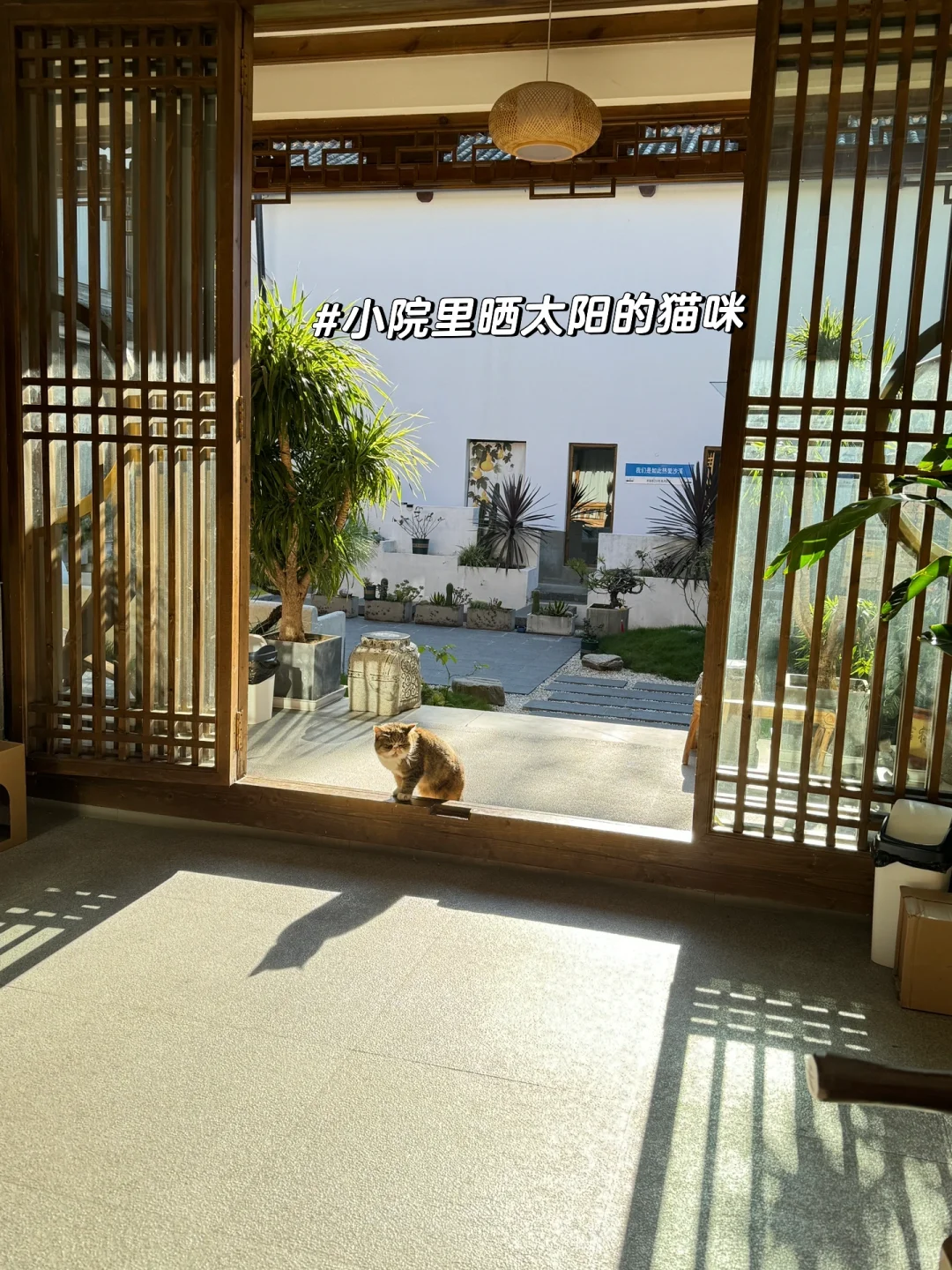 以为大理已经很美了，直到我去了沙溪 live