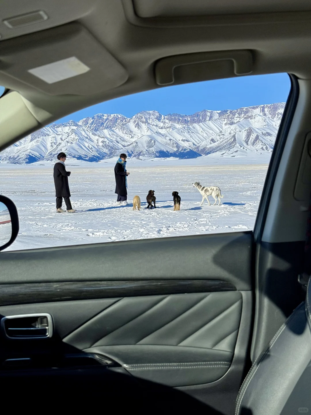 在赛里木湖拍到了我的人生live📷