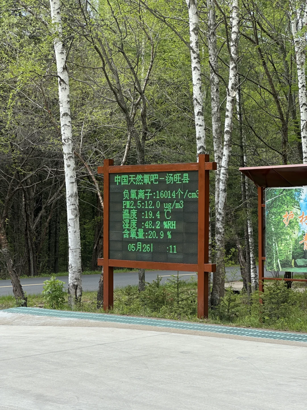 伊春｜🌳小兴安岭的初夏 ˡ̵˖☻˚‧