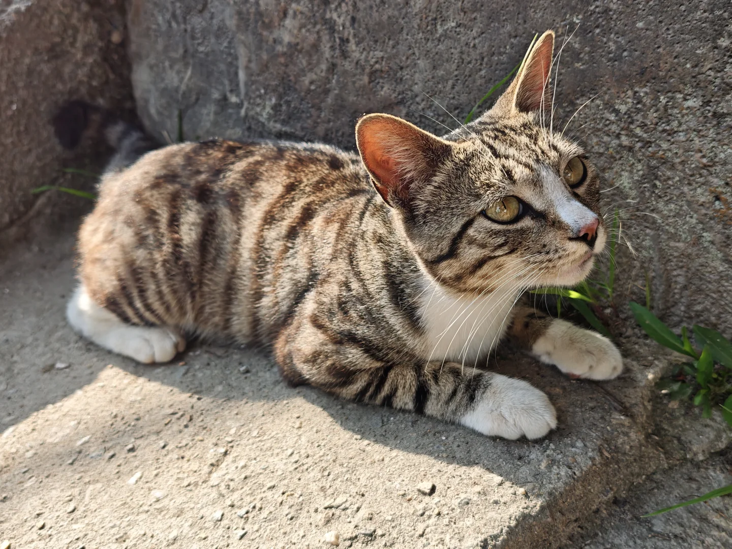 连云港部分景区注意⚠️