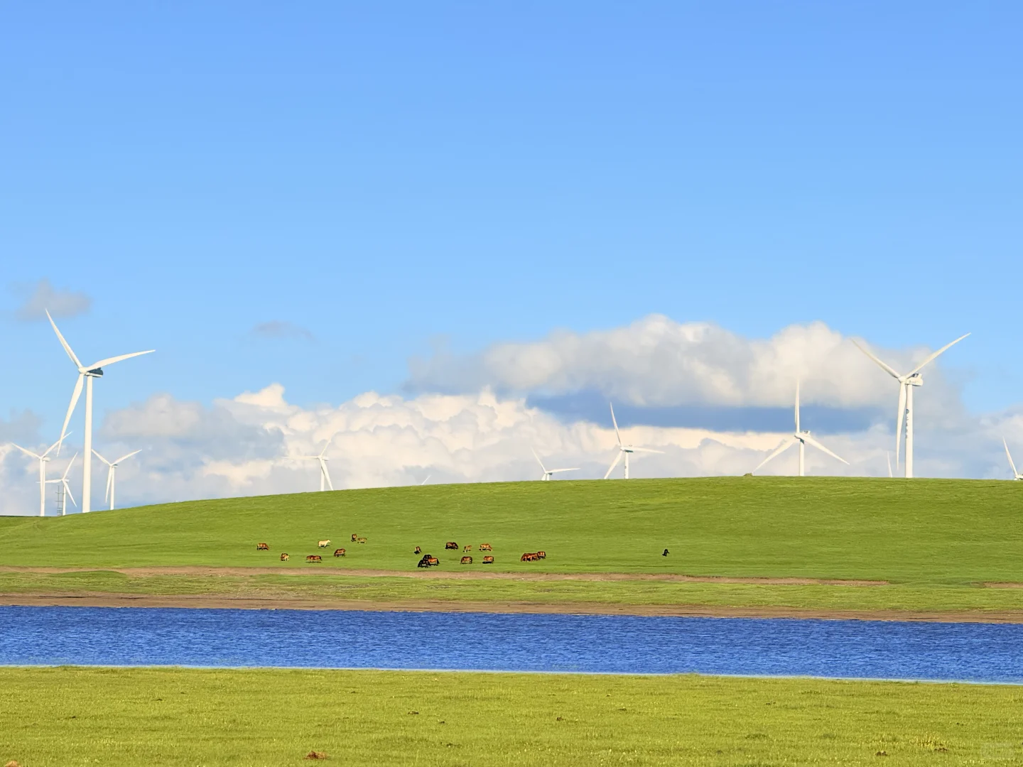 大胆发言！内蒙古是不是可以作为新疆平替
