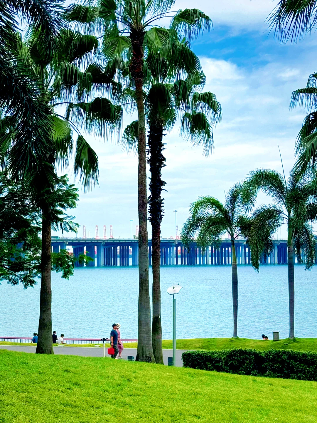 深圳旅游攻略,看这篇就够