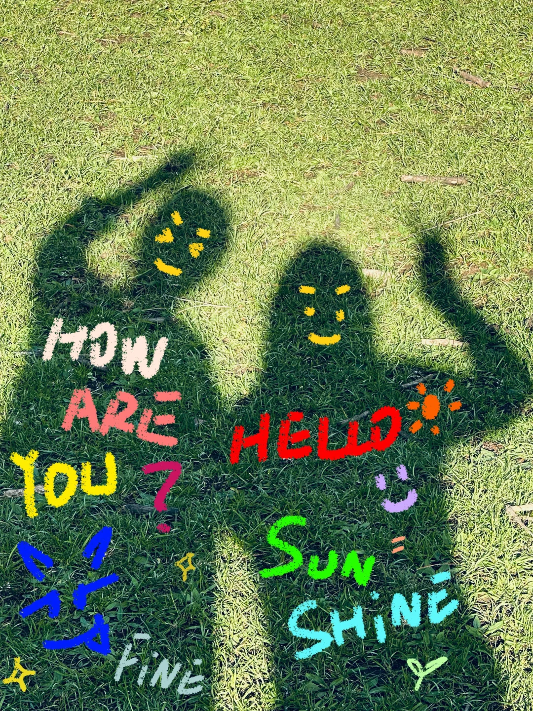 伊春｜🌳小兴安岭的初夏 ˡ̵˖☻˚‧