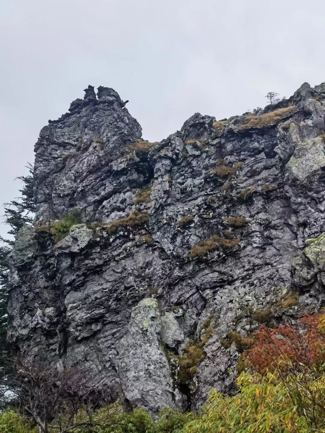 夏日限定 🍃神农架徒步避世指南🧭