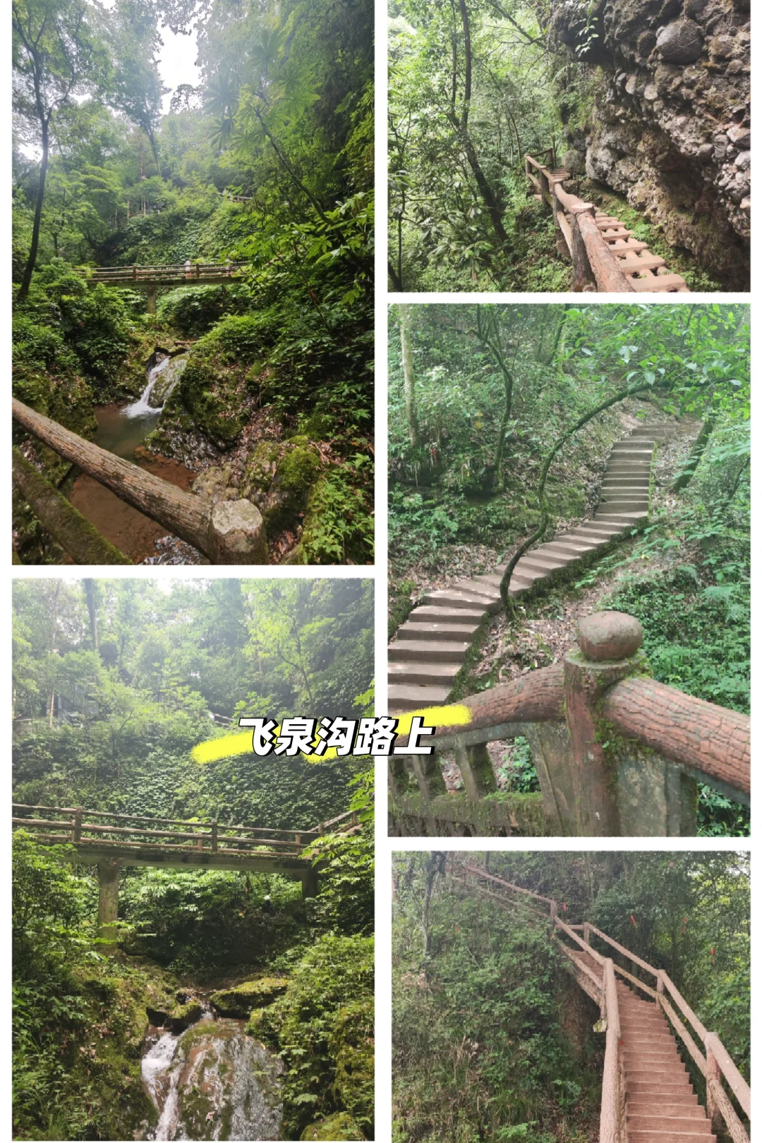 青城后山保姆级攻略来啦，看完直接抄作业