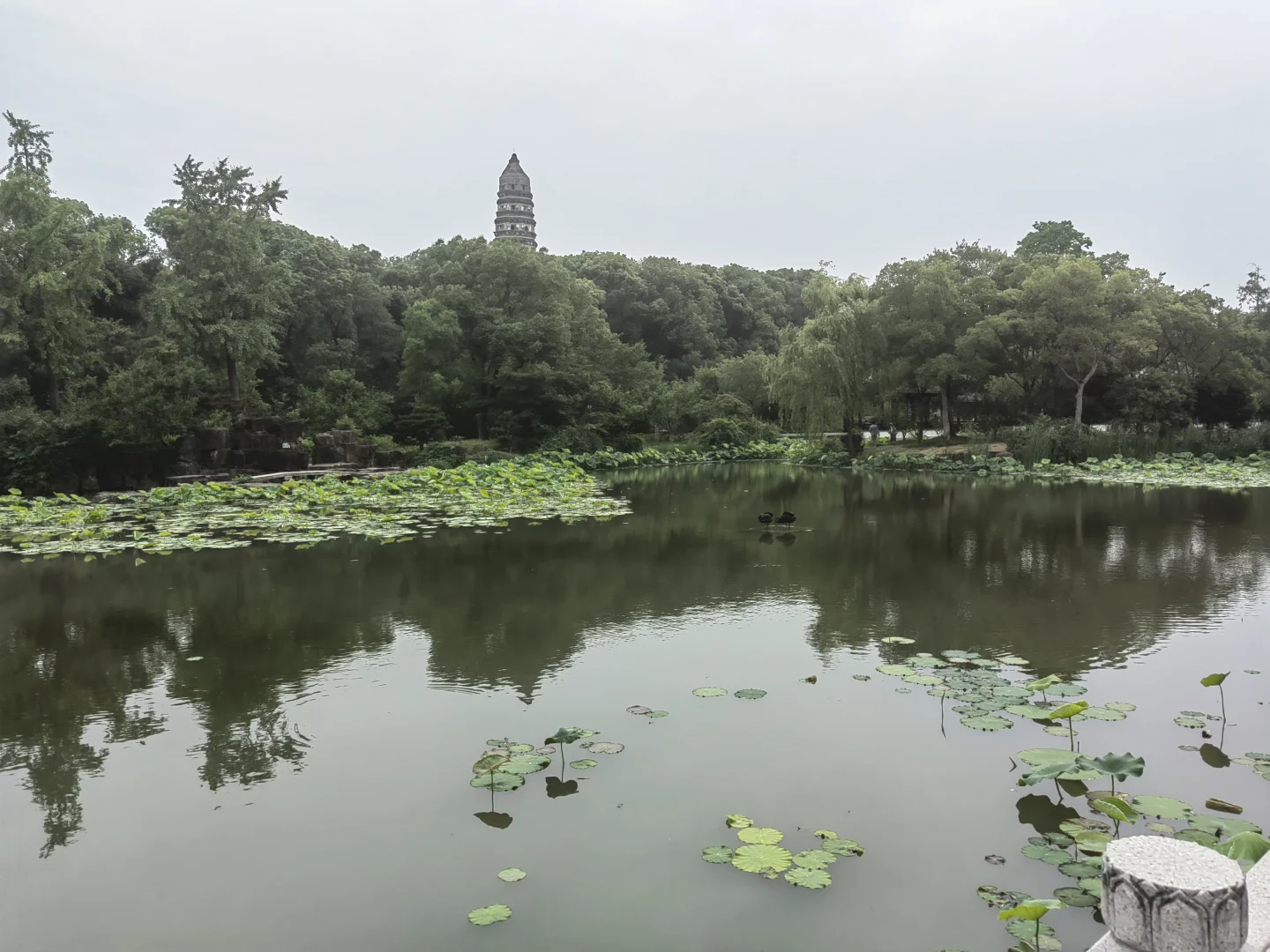 去苏州旅游,结果在景区里睡着