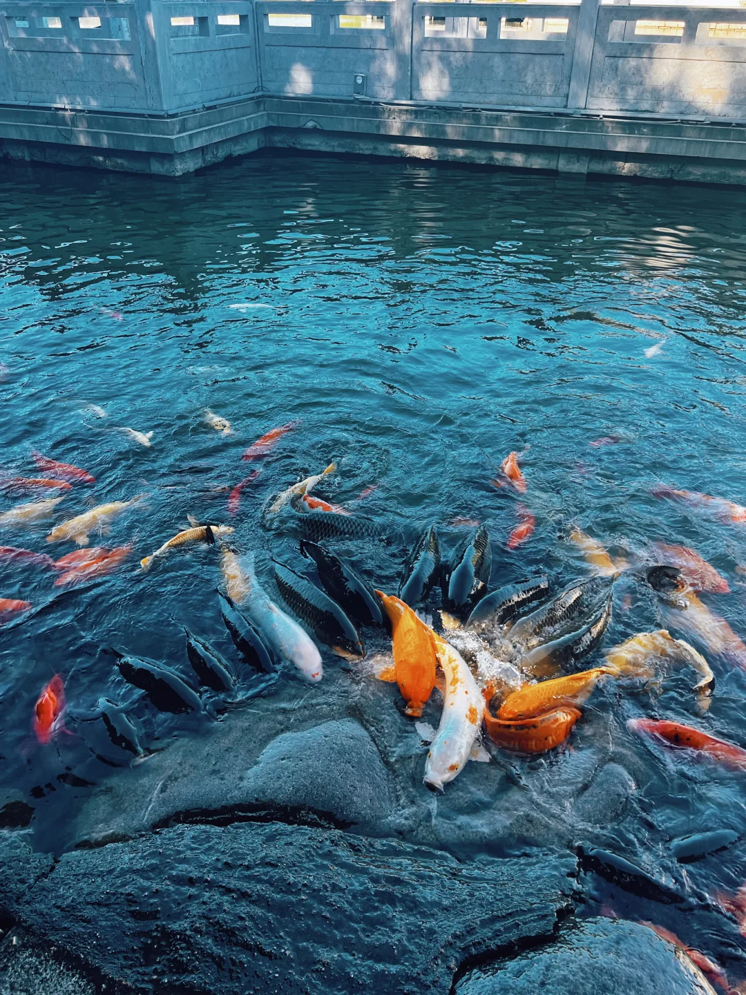 秦皇岛丨天下第一关