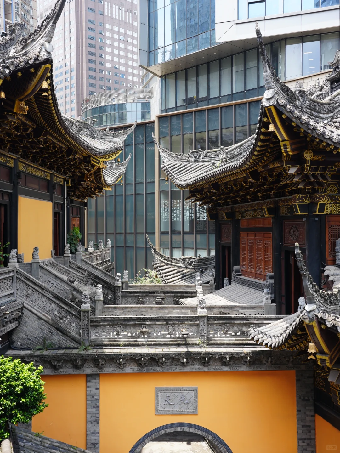 重庆精华版旅游攻略！！必打卡景点！！