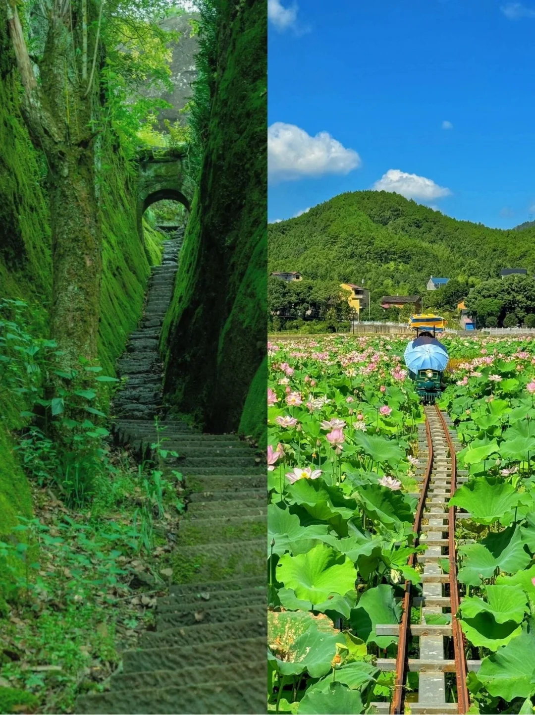 被低估的宝藏小城｜世界自然遗产⛰武夷山