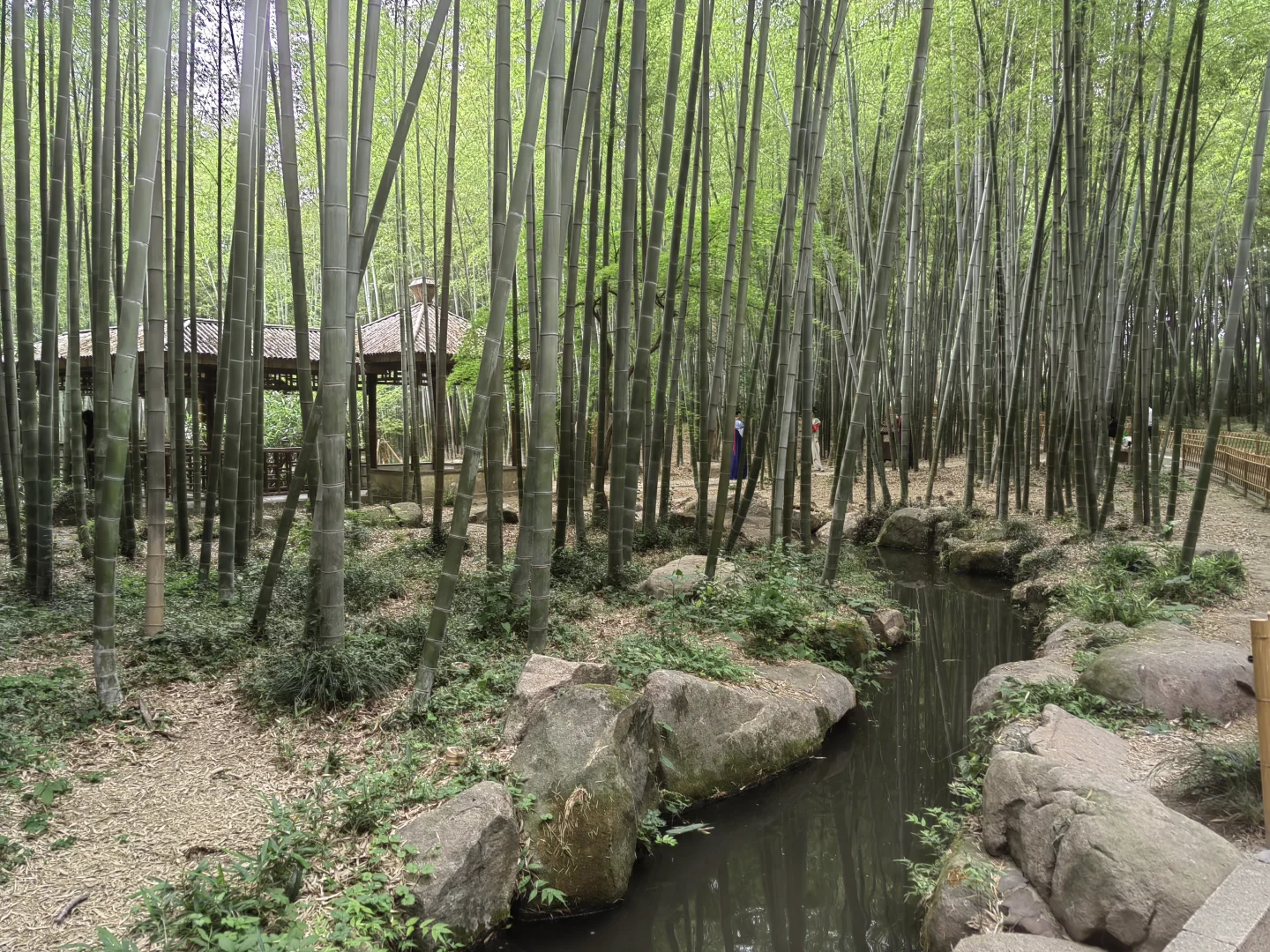 去苏州旅游,结果在景区里睡着