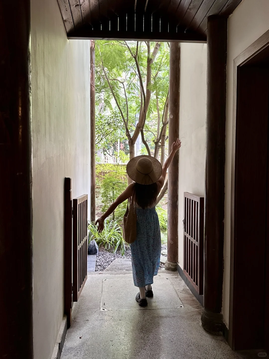 昨天在景区人挤人，今天在贵院独享整片竹林