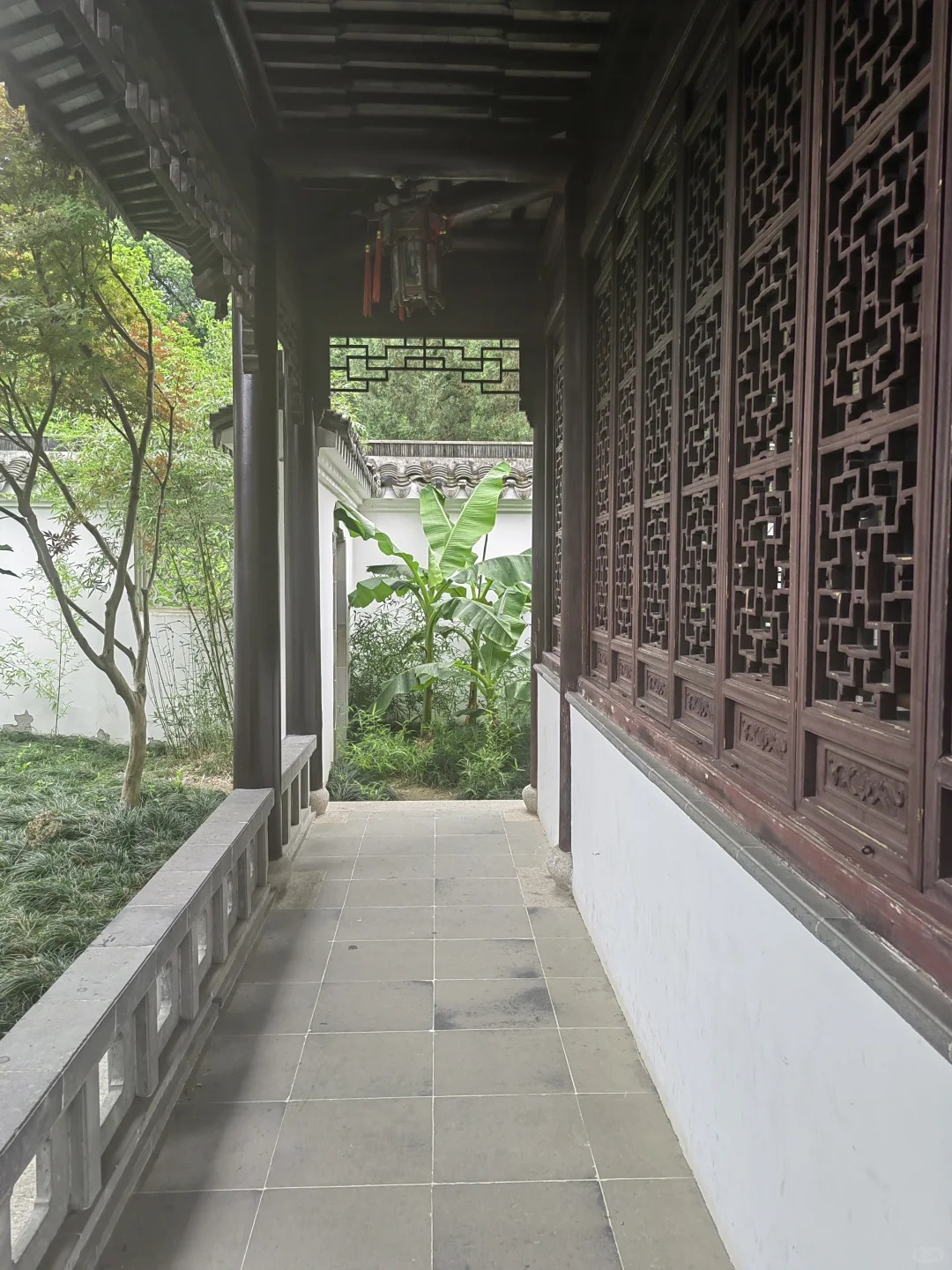 去苏州旅游,结果在景区里睡着