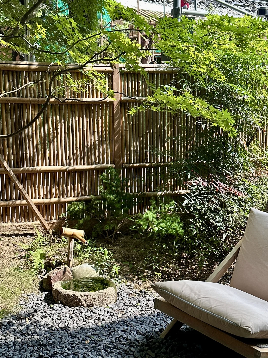 昨天在景区人挤人，今天在贵院独享整片竹林