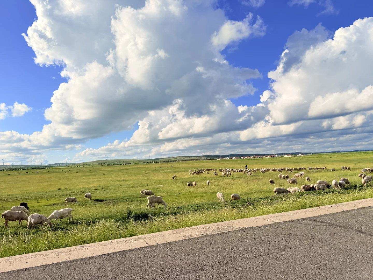 大胆发言！内蒙古是不是可以作为新疆平替
