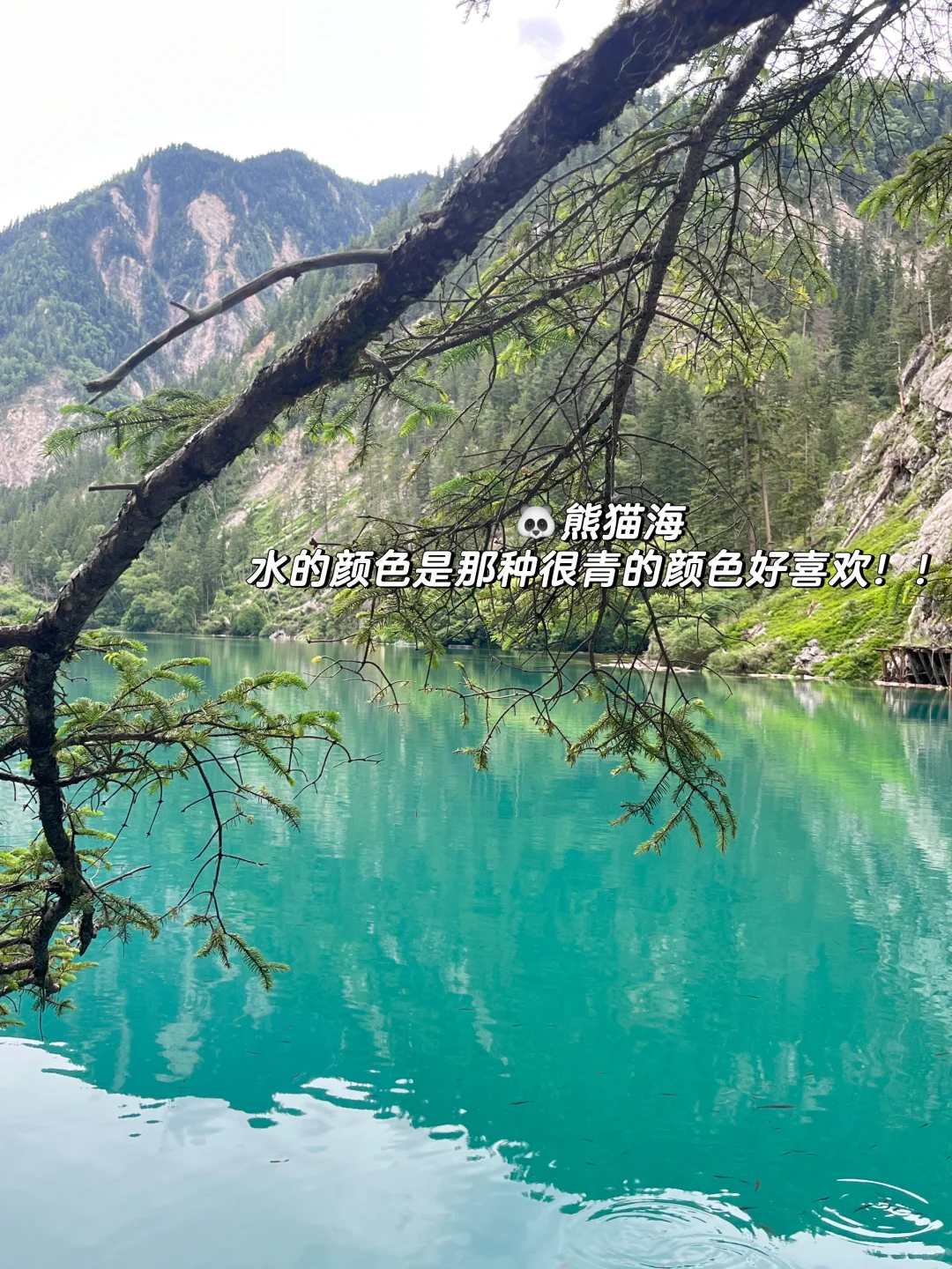 📍九寨沟｜真的值得作为毕业旅行第一站吗✈️