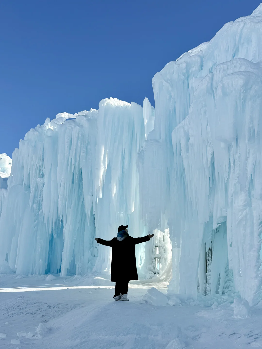 在赛里木湖拍到了我的人生live📷