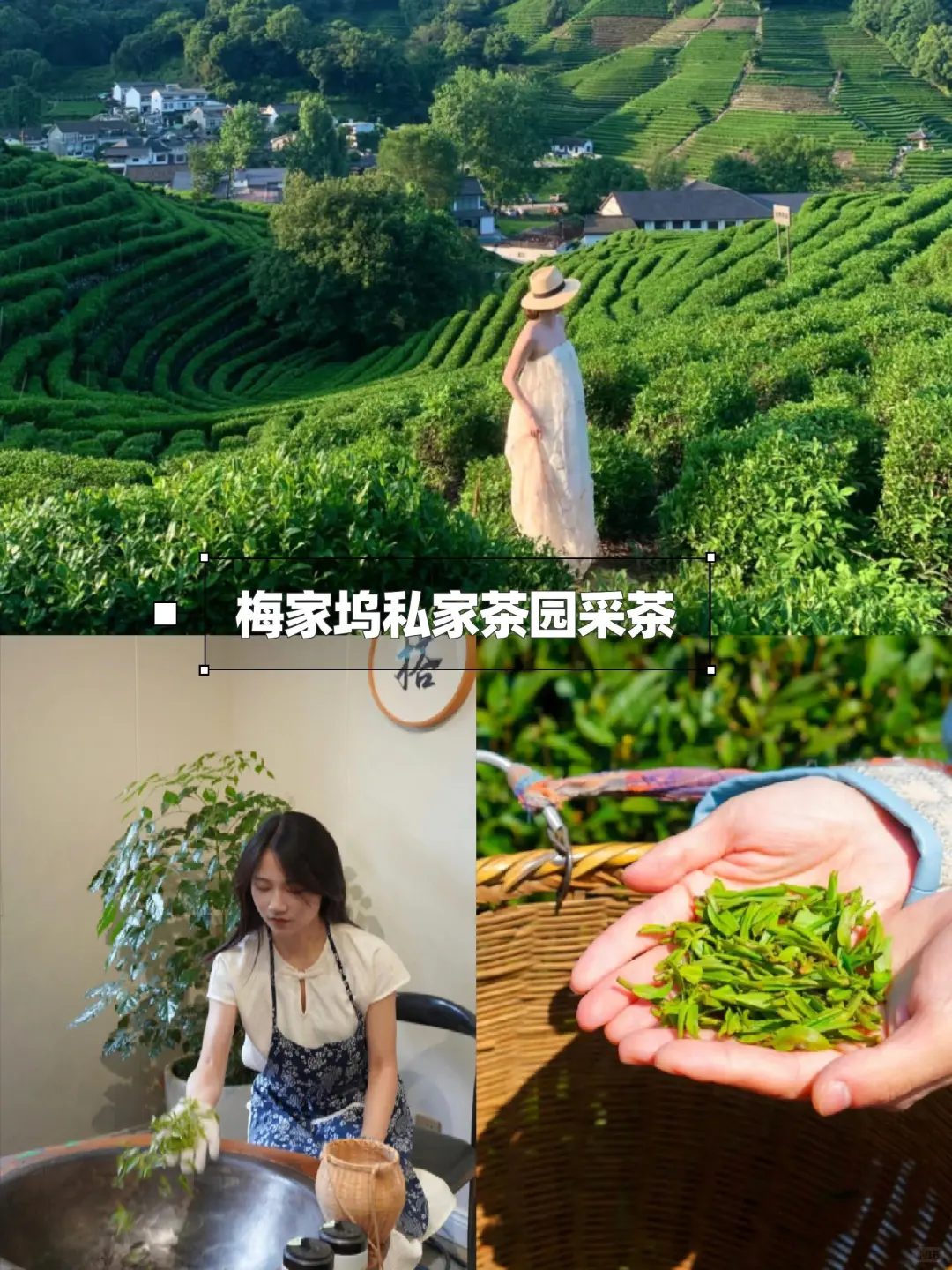 7-8月总要去趟江南吧！感受诗人笔下的苏杭