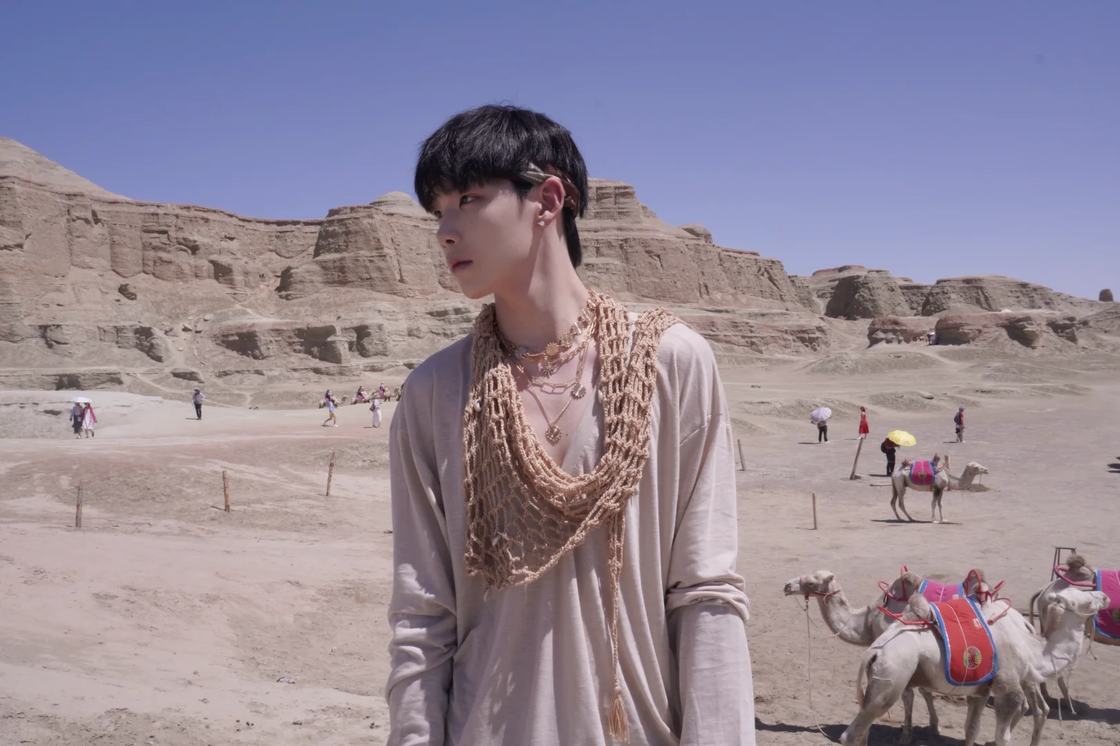 我们应该在哪见过📜