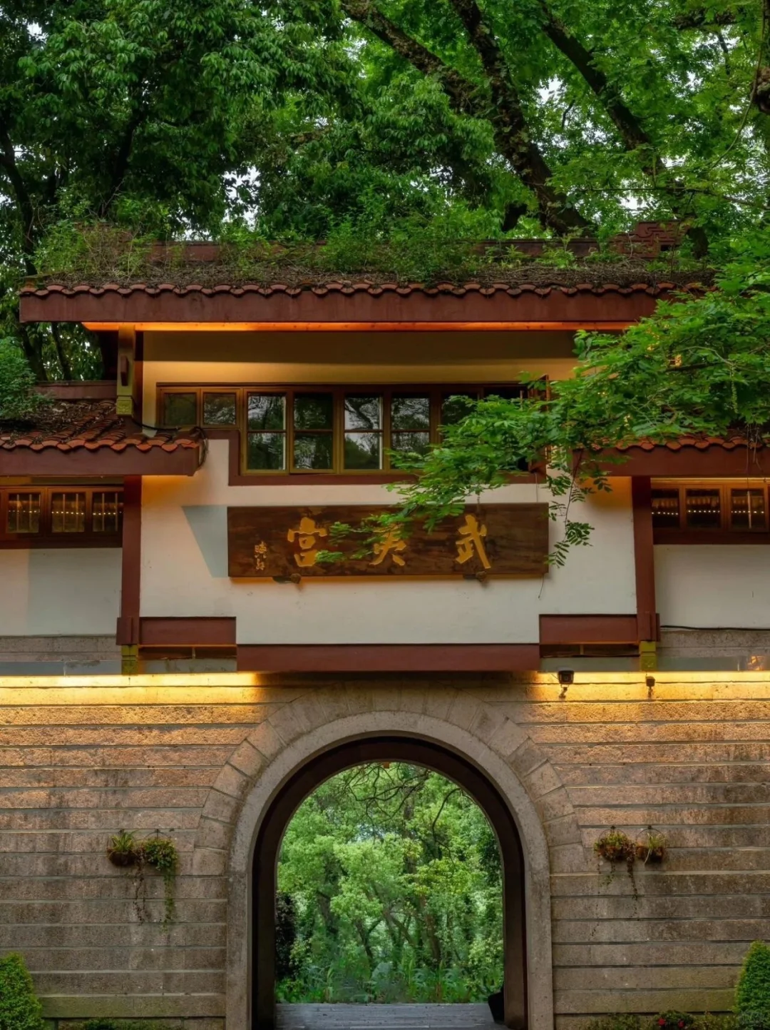 被低估的宝藏小城｜世界自然遗产⛰武夷山