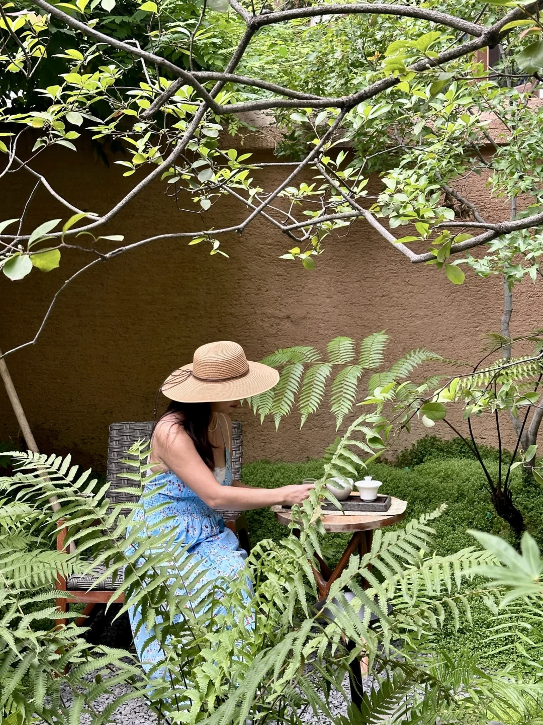 昨天在景区人挤人，今天在贵院独享整片竹林