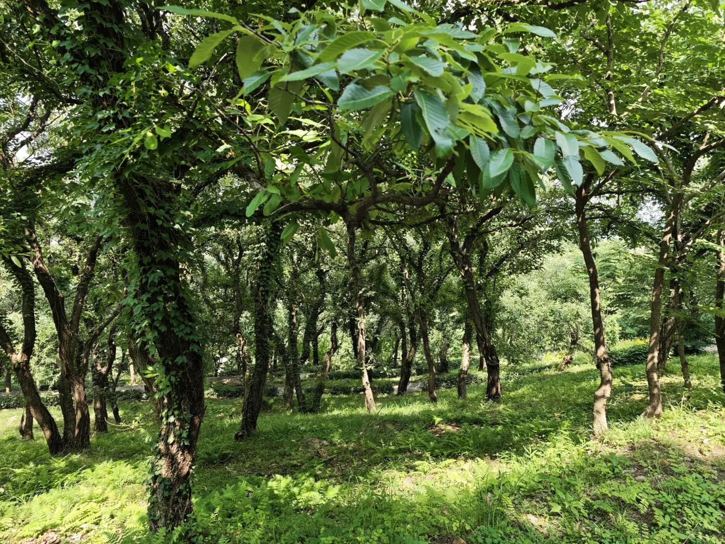 连云港部分景区注意⚠️
