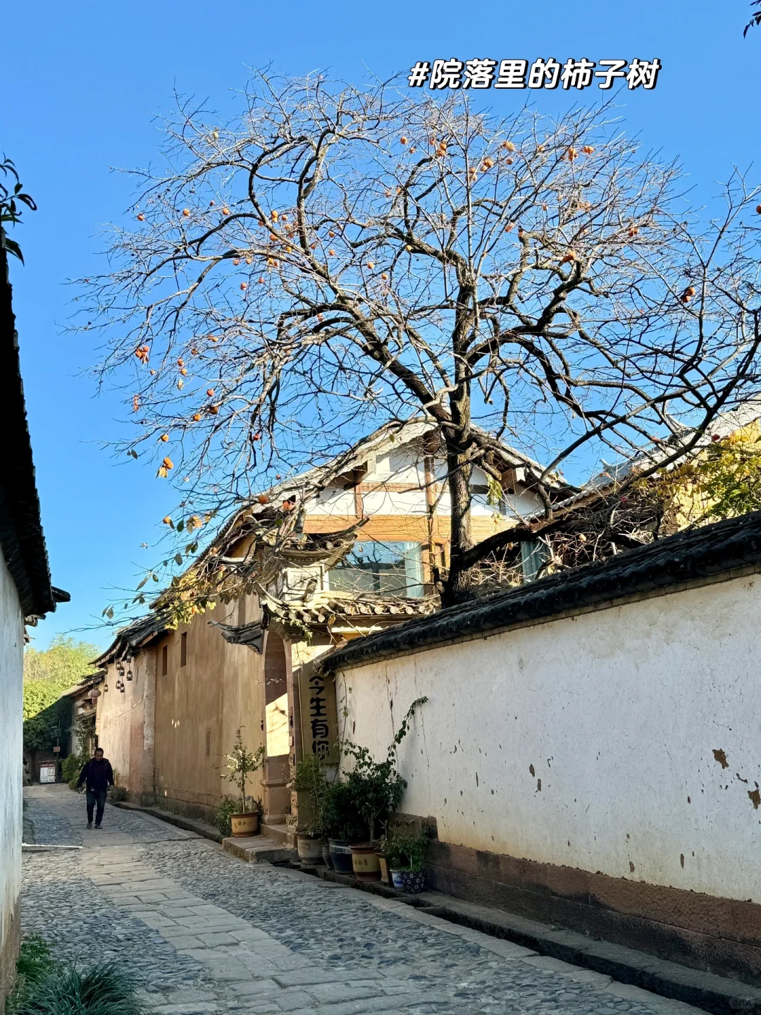 以为大理已经很美了，直到我去了沙溪 live